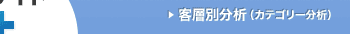 客層別分析（カテゴリー分析）