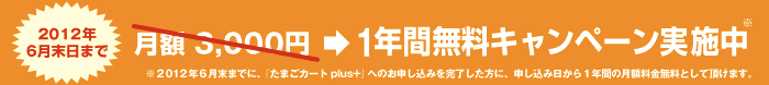 2012年6月末日まで月額3,000円→1年間無料キャンペーン実施中